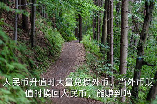 人民幣升值時(shí)大量?jī)稉Q外幣，當(dāng)外幣貶值時(shí)換回人民幣，能賺到嗎