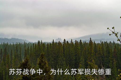 蘇芬戰(zhàn)爭中，為什么蘇軍損失慘重