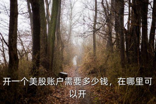 開一個(gè)美股賬戶需要多少錢，在哪里可以開