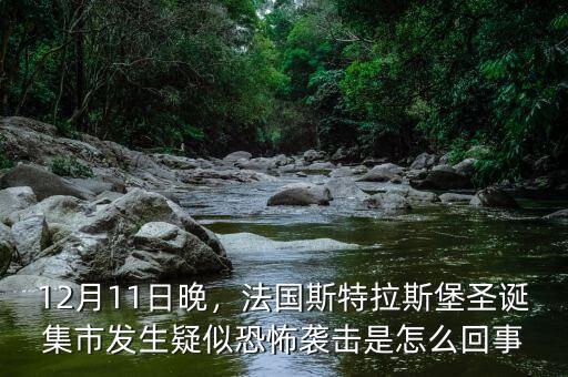 12月11日晚，法國斯特拉斯堡圣誕集市發(fā)生疑似恐怖襲擊是怎么回事