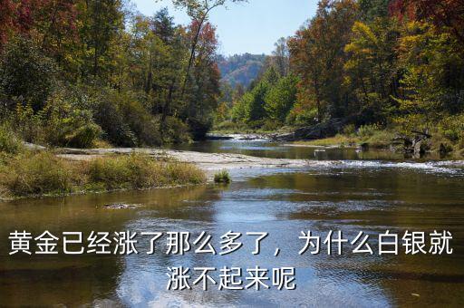 黃金已經(jīng)漲了那么多了，為什么白銀就漲不起來呢