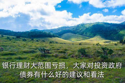銀行理財(cái)大范圍虧損，大家對(duì)投資政府債券有什么好的建議和看法