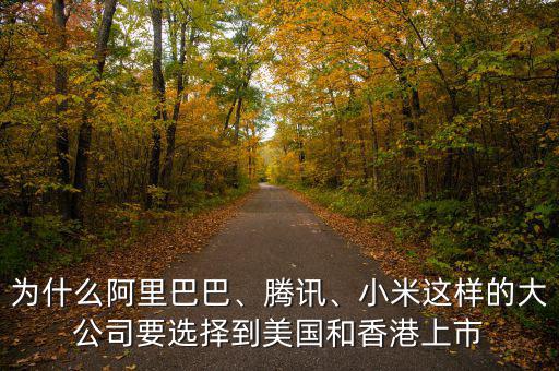 為什么阿里巴巴、騰訊、小米這樣的大公司要選擇到美國和香港上市