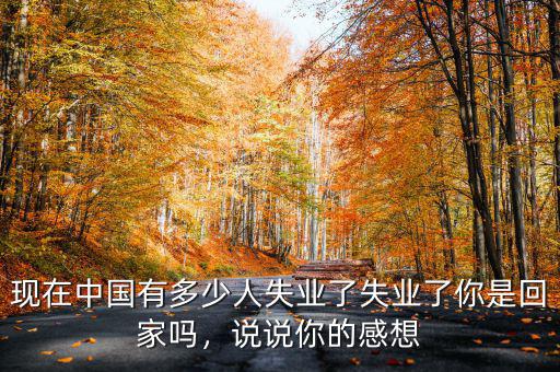 現在中國有多少人失業(yè)了失業(yè)了你是回家嗎，說說你的感想