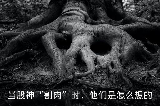 當(dāng)股神“割肉”時(shí)，他們是怎么想的