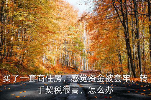 買了一套商住房，感覺資金被套牢，轉(zhuǎn)手契稅很高，怎么辦