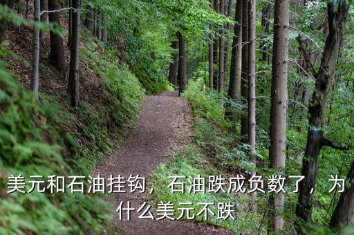 美元和石油掛鉤，石油跌成負數(shù)了，為什么美元不跌