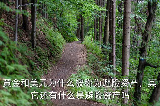 黃金和美元為什么被稱為避險資產(chǎn)，其它還有什么是避險資產(chǎn)嗎