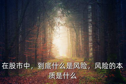 在股市中，到底什么是風(fēng)險，風(fēng)險的本質(zhì)是什么