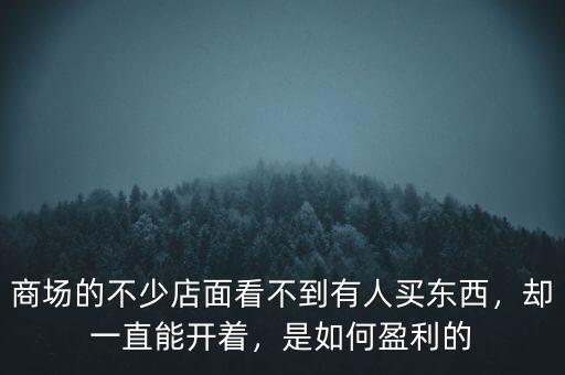 商場的不少店面看不到有人買東西，卻一直能開著，是如何盈利的