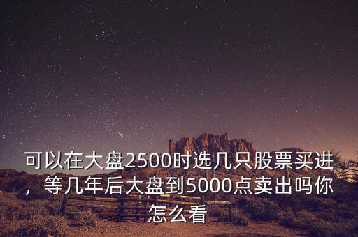 可以在大盤2500時選幾只股票買進，等幾年后大盤到5000點賣出嗎你怎么看