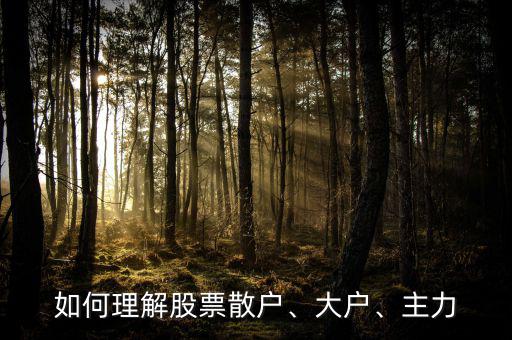機(jī)構(gòu)大戶(hù)散戶(hù)什么意義,大戶(hù)是否一定會(huì)比散戶(hù)牛逼