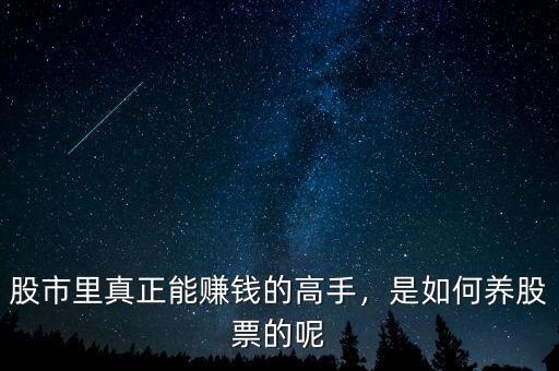 股市里真正能賺錢的高手，是如何養(yǎng)股票的呢
