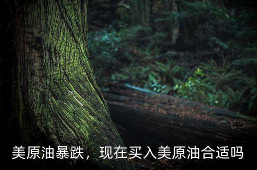 美原油暴跌，現(xiàn)在買入美原油合適嗎