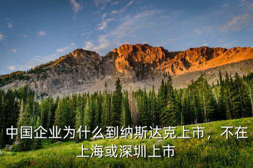 中國企業(yè)為什么到納斯達克上市，不在上海或深圳上市