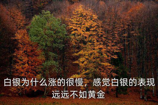 白銀為什么漲的很慢，感覺白銀的表現(xiàn)遠遠不如黃金