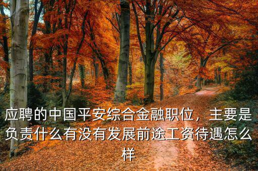 應(yīng)聘的中國平安綜合金融職位，主要是負(fù)責(zé)什么有沒有發(fā)展前途工資待遇怎么樣