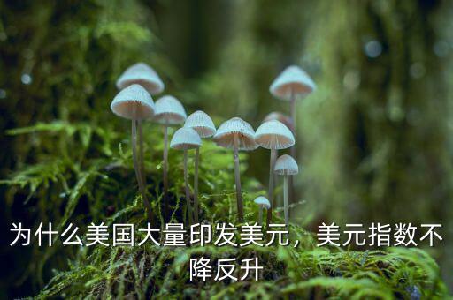 為什么美國(guó)大量印發(fā)美元，美元指數(shù)不降反升