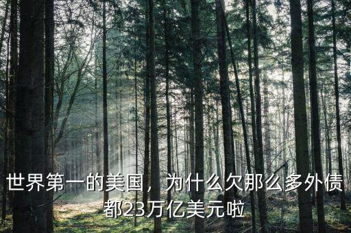 世界第一的美國，為什么欠那么多外債都23萬億美元啦