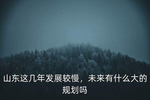 山東這幾年發(fā)展較慢，未來(lái)有什么大的規(guī)劃嗎