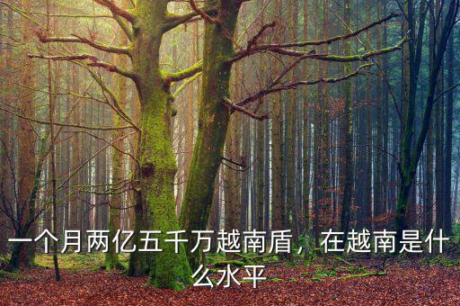 一個月兩億五千萬越南盾，在越南是什么水平