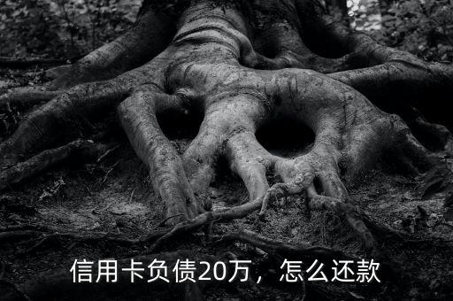 信用卡負債20萬，怎么還款