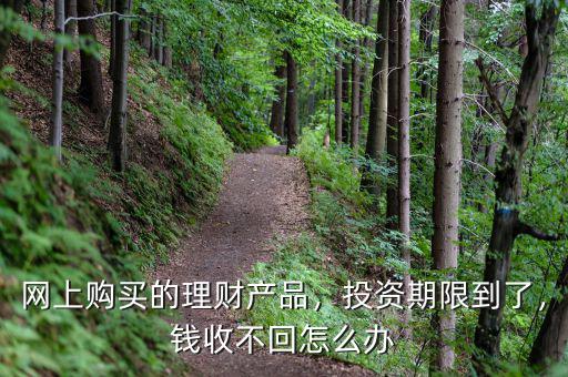網(wǎng)上購買的理財(cái)產(chǎn)品，投資期限到了，錢收不回怎么辦