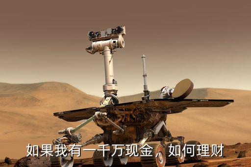 如果我有一千萬現(xiàn)金，如何理財
