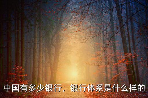 中國(guó)有多少銀行，銀行體系是什么樣的