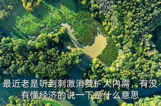 最近老是聽到刺激消費(fèi)擴(kuò)大內(nèi)需，有沒有懂經(jīng)濟(jì)的說一下是什么意思