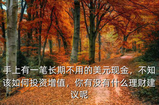 手上有一筆長期不用的美元現(xiàn)金，不知該如何投資增值，你有沒有什么理財(cái)建議呢