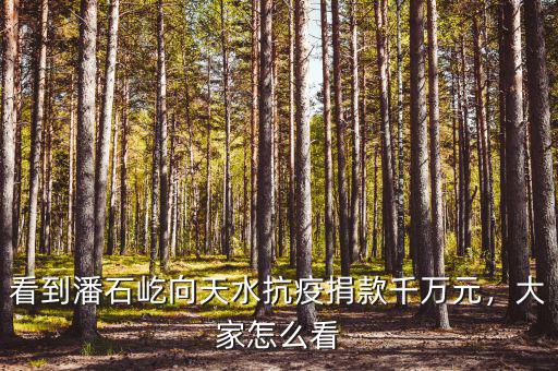 看到潘石屹向天水抗疫捐款千萬(wàn)元，大家怎么看
