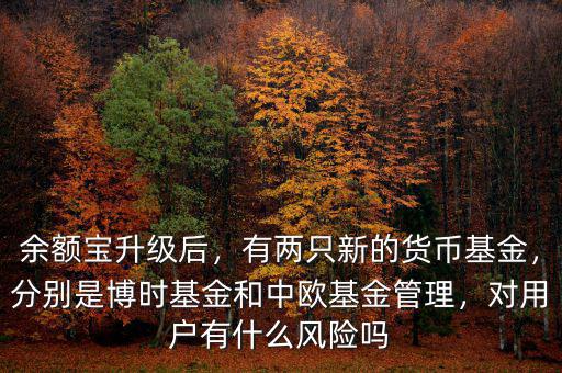余額寶升級后，有兩只新的貨幣基金，分別是博時基金和中歐基金管理，對用戶有什么風(fēng)險嗎