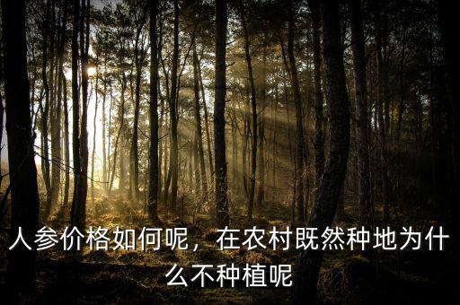 人參價格如何呢，在農(nóng)村既然種地為什么不種植呢