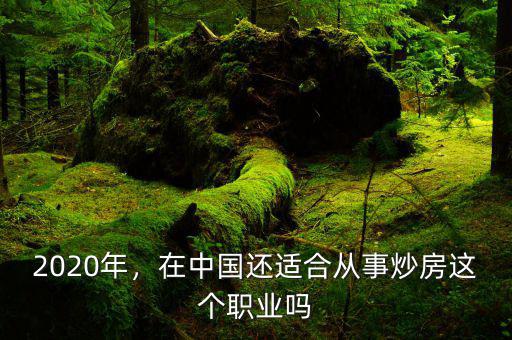 2020年，在中國(guó)還適合從事炒房這個(gè)職業(yè)嗎