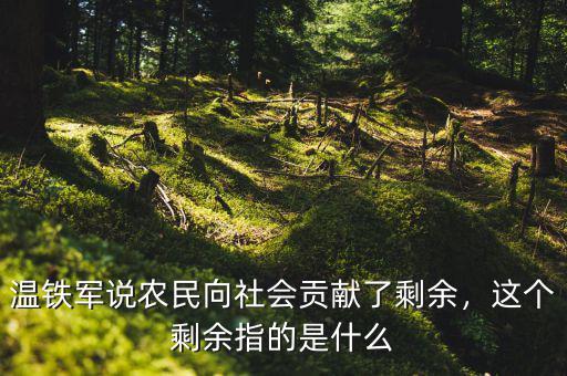 溫鐵軍說(shuō)農(nóng)民向社會(huì)貢獻(xiàn)了剩余，這個(gè)剩余指的是什么