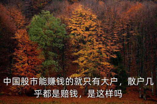 中國股市能賺錢的就只有大戶，散戶幾乎都是賠錢，是這樣嗎