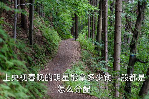 上央視春晚的明星能拿多少錢(qián)一般都是怎么分配