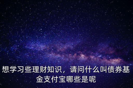 想學(xué)習(xí)些理財(cái)知識(shí)，請(qǐng)問什么叫債券基金支付寶哪些是呢