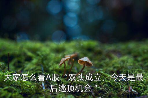 大家怎么看A股“雙頭成立，今天是最后逃頂機(jī)會(huì)＂