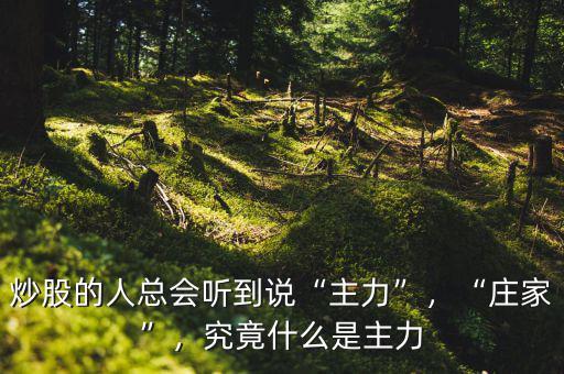 炒股的人總會聽到說“主力”，“莊家”，究竟什么是主力