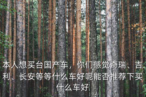 國產(chǎn)車什么車?緲?,本人想買臺(tái)國產(chǎn)車