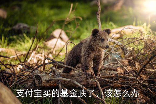 支付寶買的基金跌了，該怎么辦