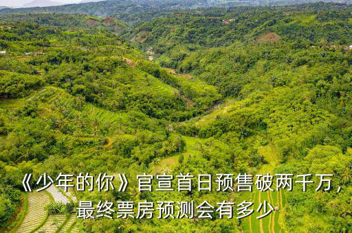 《少年的你》官宣首日預(yù)售破兩千萬，最終票房預(yù)測(cè)會(huì)有多少