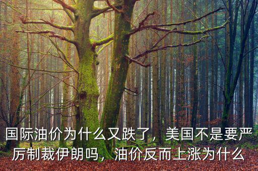 國際油價為什么又跌了，美國不是要嚴(yán)厲制裁伊朗嗎，油價反而上漲為什么