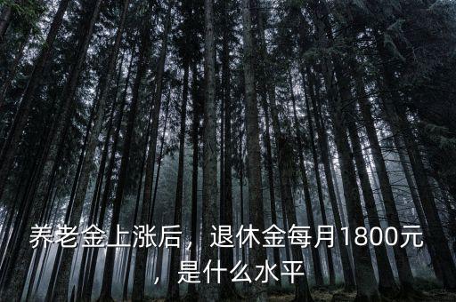 養(yǎng)老金上漲后，退休金每月1800元，是什么水平