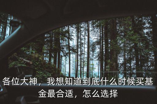 各位大神，我想知道到底什么時(shí)候買基金最合適，怎么選擇
