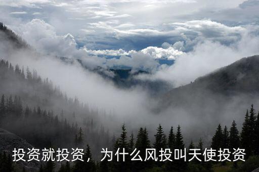 投資就投資，為什么風投叫天使投資