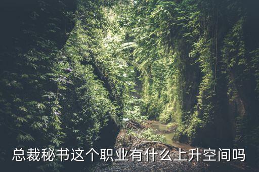 總裁秘書(shū)這個(gè)職業(yè)有什么上升空間嗎