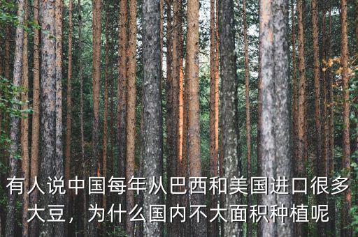 有人說(shuō)中國(guó)每年從巴西和美國(guó)進(jìn)口很多大豆，為什么國(guó)內(nèi)不大面積種植呢